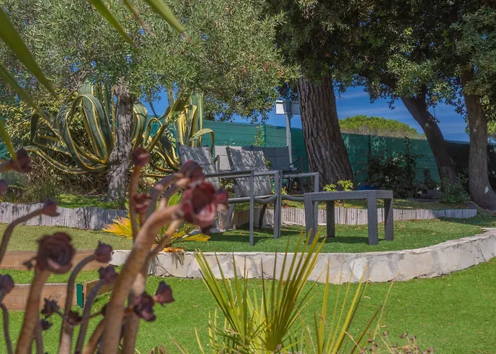 Pinede Romane Fréjus