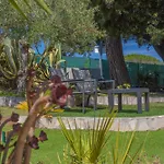 Pinede Romane * Fréjus